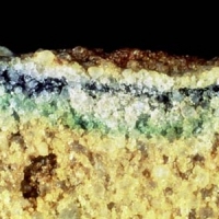 Antarctic Endoliths